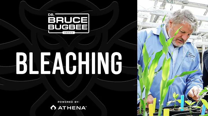 Bruce Bugbee Series – Bleaching