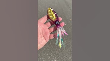 What do you think of the new Nomad Squidtrex colors? #jandhtackle #fishing @nomadtackle_usa