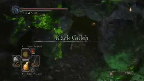 Dark Souls 2  fragrant branch of Yore