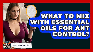 What To Mix With Essential Oils For Ant Control? - Insects and Invaders