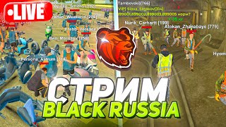 Открытие Нового Сервера Блек Раша! Стрим Открытие Black Russia