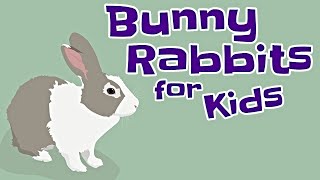 Bunny Rabbits for Kids