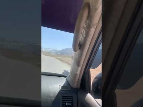 Logar Gardez Highway Camel On Road