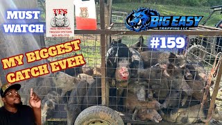 🔥THIS IS MY BIGGEST CATCH EVER A LOAD OF HOGS🔥#hogs #louisiana #trapper #mustwatch 