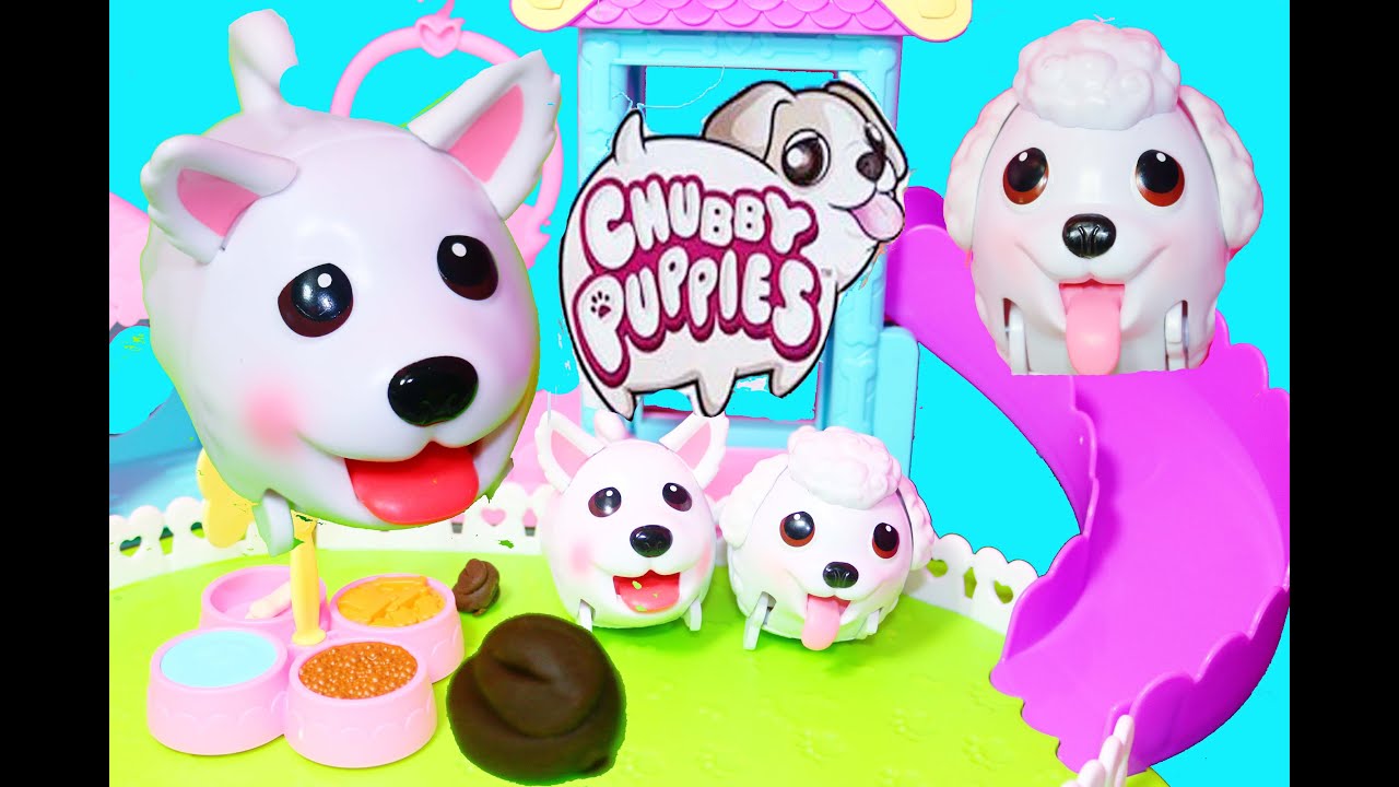 Toy Review Chubby Puppies Ultimate Dog Park Toy Youtube