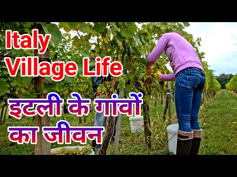 Italy Village Life in Hindi