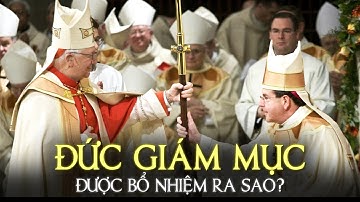 CÁC ĐỨC GIÁM MỤC ĐƯỢC BỔ NHIỆM NHƯ THẾ NÀO?