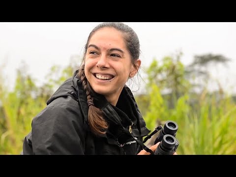 Video: Holiday Conservation Project: Julfågellån