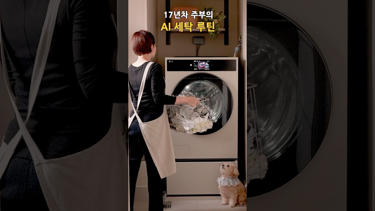 17년차 주부가 알려주는 세탁 노하우 (feat. 니트, 커튼, 이불까지) | LG 트롬 AI 오브제컬렉션 워시콤보