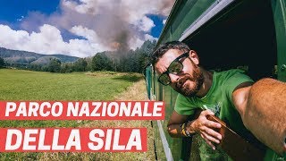 Alla scoperta della Sila | Calabria