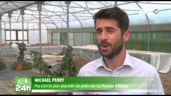 Qizlar mushukka borishadi Jinsiy aloqa mashinasi bilan gey porno