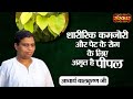            benefits of ficus religiosaacharya balkrishna ji