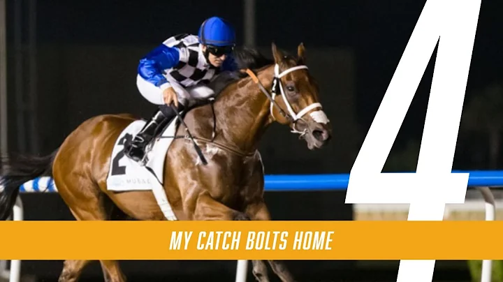 MY CATCH is given a beautiful front running ride b...