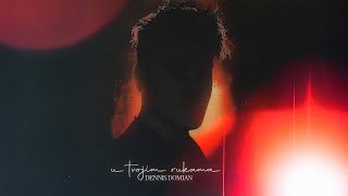 Dennis Domian - U tvojim rukama (Official Audio)