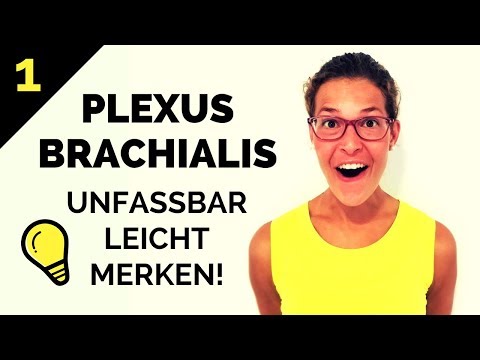 Video: Was ist der Plexus brachialis?