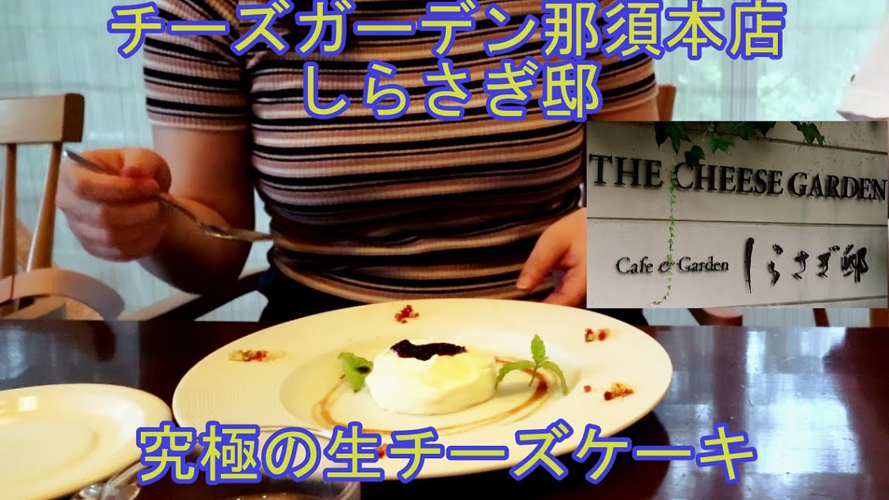【グルメ女子】チーズガーデン那須本店しらさぎ邸の生チーズケーキが究極でした！【モッパン】