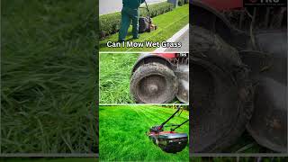 Can I Mow Wet Grass??