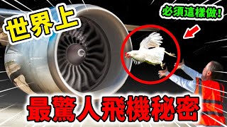 世界上最驚人的10個飛機秘密飛機餐難吃的真正原因其中一個空姐絕對不會說| 好奇指南針 #飛機 #冷知識 #分享 #生活 #有趣  #top #top10 #世界之最 #四處觀察 #出類拔萃