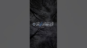[ألم يك نطفه من مني يمنى — القارئ : أحمد النفيس ]