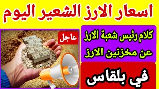 اسعار الارز الشعير اليوم كلام رئيس شعبة الارز عن المخزنين في بلقاس والقري المجاورة