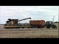 Easterns farm Ltd Harvesting w/wheat 2020