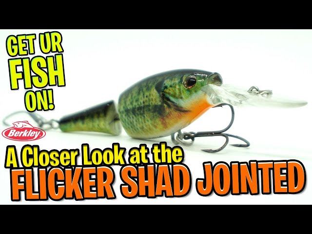 Closer Look at the Berkley Fishing Flicker Shad Jointed Crankbait