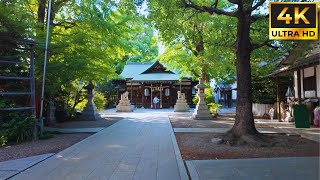 Osaka free walking tour Small Temples in Osaka - Japan 4K