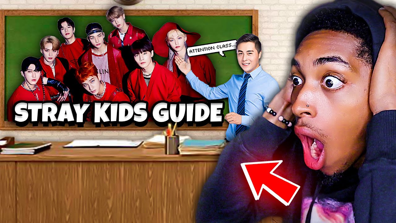 VexReacts Learns EVERYTHING About Stray Kids!