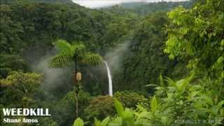 Weedkill - Shane Amos