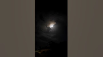 Devo Ke Dev mahadev Status Video #mahadev #shankar #shorts #status