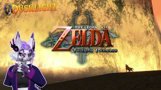 Zelda Twilight Princess now on PC! | Dusklight Net Worth
