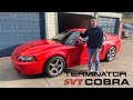 Buying my dream car! 2003 SVT Terminator Cobra