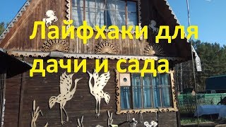 Лайфхаки для дачи и сада