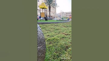 ماتيسر من سورة الأحزاب من آية (٤٠)إلى (٤٤)🌱🌱💚💚💚🤍🌼✨...