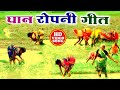 धान रोपनी गीत || Paramparik Ropni Geet || Anshu Priya Bhojpuri Ropni Geet Video