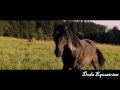 Wicher 2 (OSTWIND 2) Music Video/Take Flight