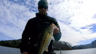 prefishing lake martin for a tournament late January 2021