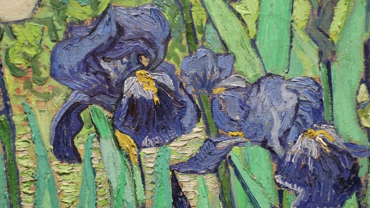 Irises Vincent Van Gogh