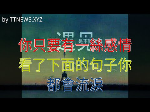 你只要有一絲感情，看了下面的句子你都會流淚