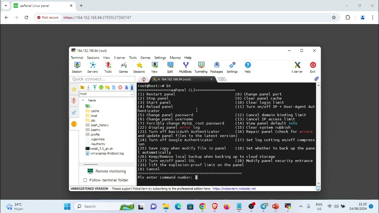 Basic Setup - Reset Username & Password aaPanel via CLI - YouTube