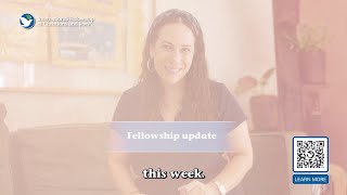 Yaels Weekly News Update - 8.6.2025