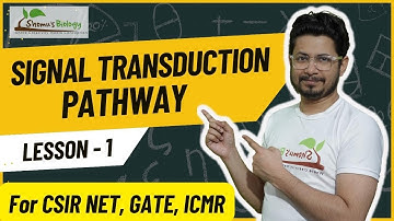 Signal transduction pathway | How signal transduction pathway works?