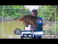 MANCING MANIA - POTENSI FRESH WATER TIMIKA (8/1/17) 3-2