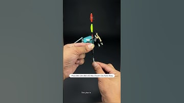 Phao điện cảm biến đổi màu chuyên câu khu vực nước nông #cauca #fishing #shorts