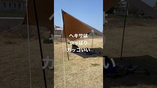 スノーピークのヘキサタープを出してみた！花見ついでに天日干し！　#遊び #楽しい #キャンプ #キャンプギア #タープ #花見 #家族 #ファミリーキャンプ #子ども #アウトドア