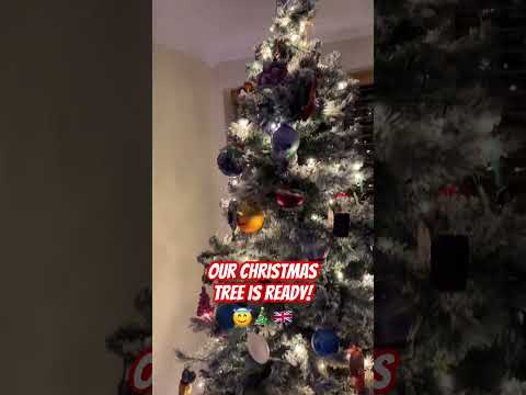 Our Christmas Tree Is Ready