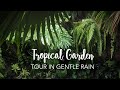 Tropical forest garden tour with gentle rain for relaxing working sleeping