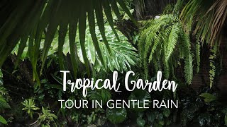 Tropical Forest Garden Tour with GENTLE RAIN for relaxing, working, sleeping