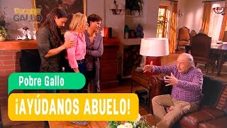 Pobre Gallo - Ayúdanos Abuelo - Lincóyan Y Camila Capítulo 92