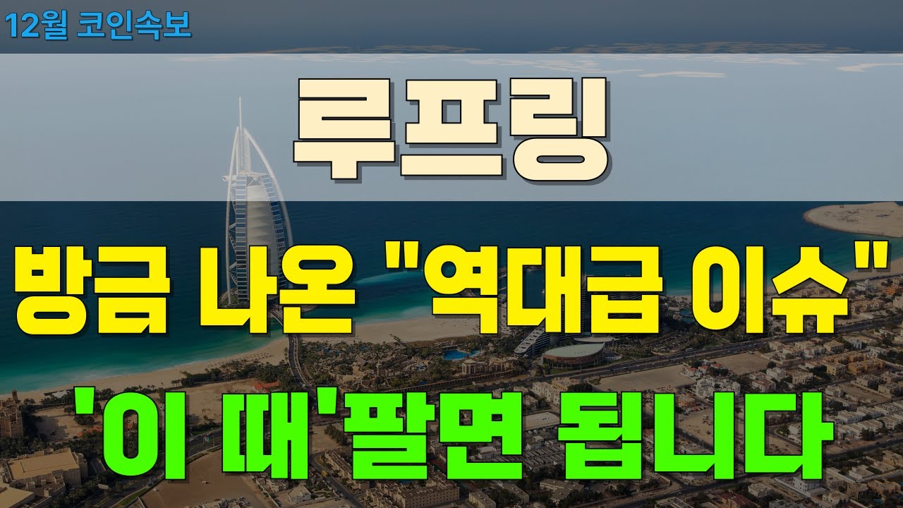 루프링 코인] 12/12(금) 12월 코인속보. 방금 나온 